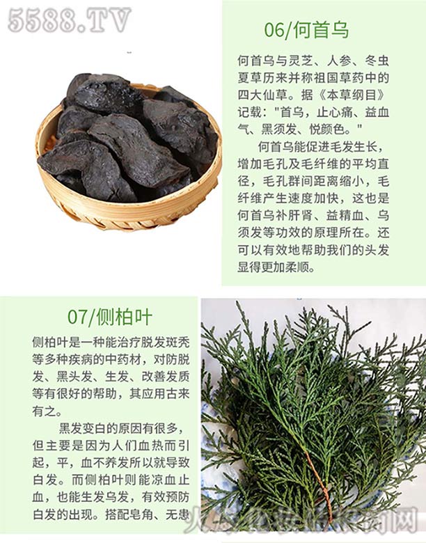 Ȫֿt(y)ˎ޹˾l(f)ѾѾݱֲϴl(f)飨מ(c)~