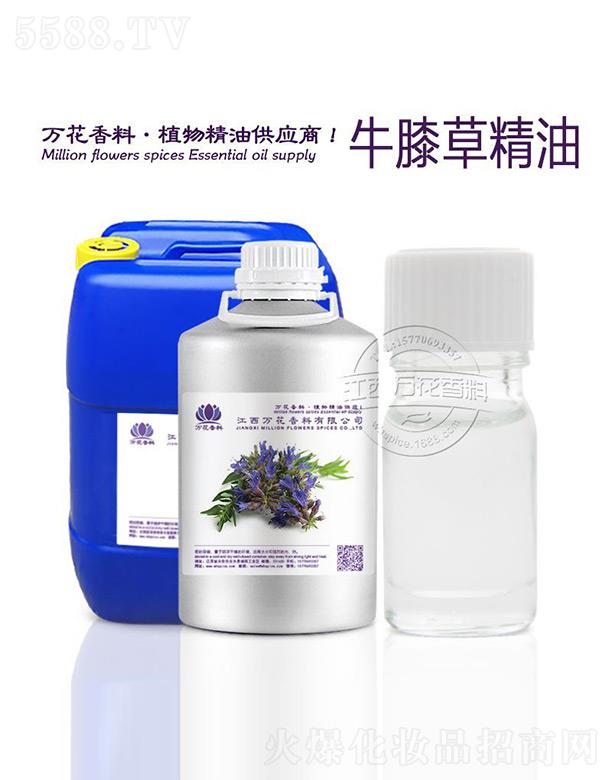 f(wn)޹˾f(wn)ţϥݾ