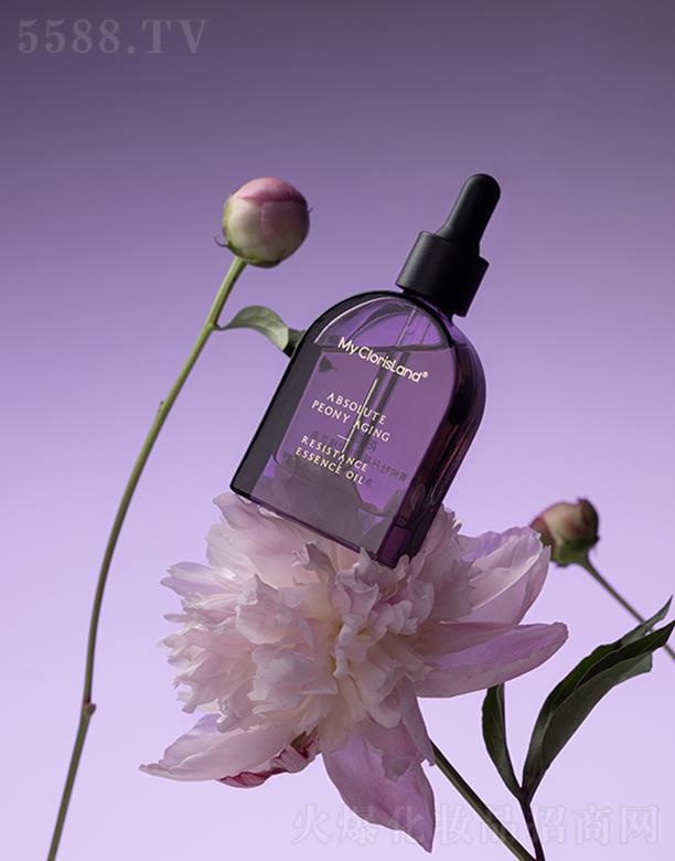 RݣyƷ؟(z)ι˾ޢݼĵr(sh)r