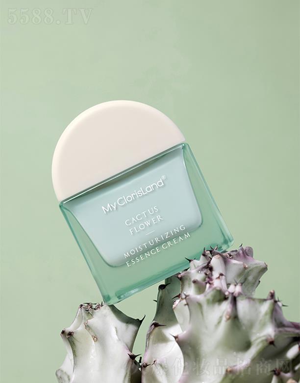 RݣyƷ؟ι˾ޢƻߝA˪ 50g