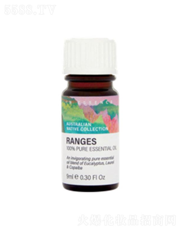 ؈С΢̄(w)g(sh)޹˾IN ESSENCEĴ^ͷϵɽ}