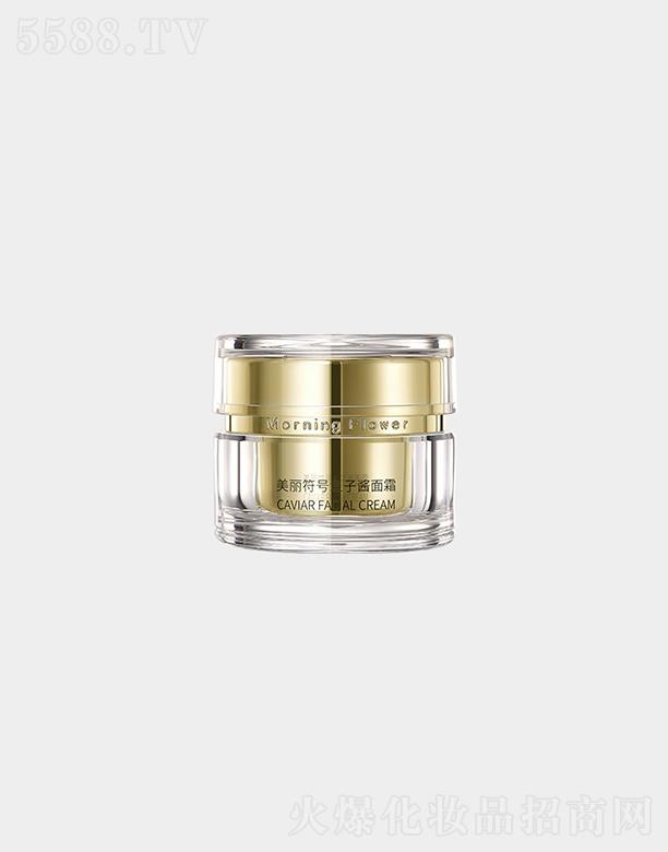 HyƷ޹˾MorningFlowerr˪