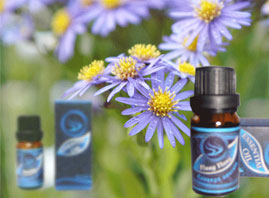 �Ϻ��ض����H�Q�����޹�˾