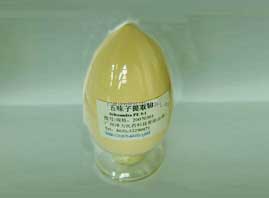 �V�ݝ����t(y��)ˎ�Ƽ����޹�˾