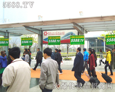 һ(g)ε׌҂(jin)Żǵ