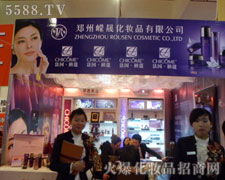 ݎVɻyƷ޹˾2012I(y)[