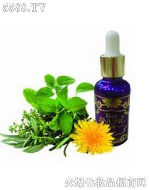 �L(f��ng)���j(lu��)ˎ��