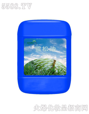 ����ѩ����