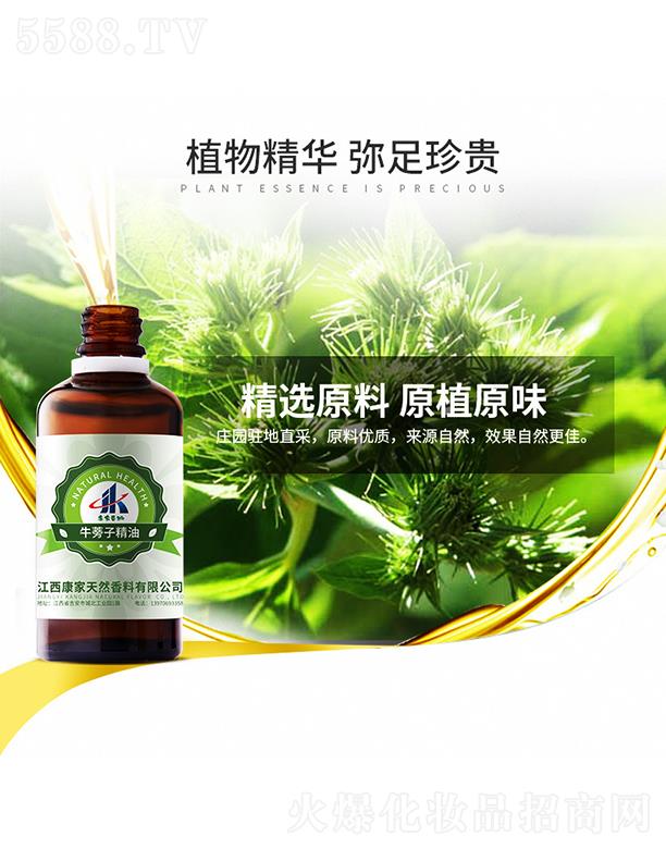 ���ұ���ţ���Ӿ���