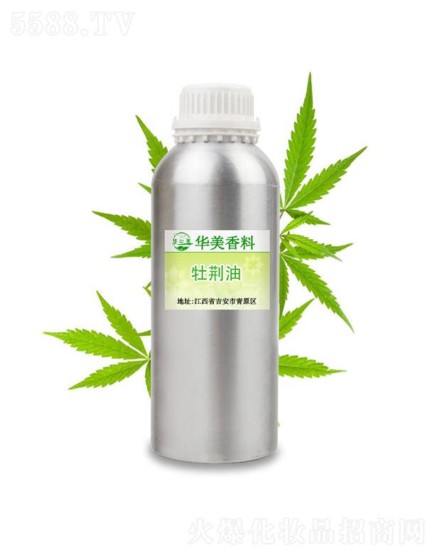 �A��ĵ�G��