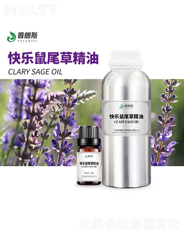 ����˹�옷(l��)��β�ݾ���