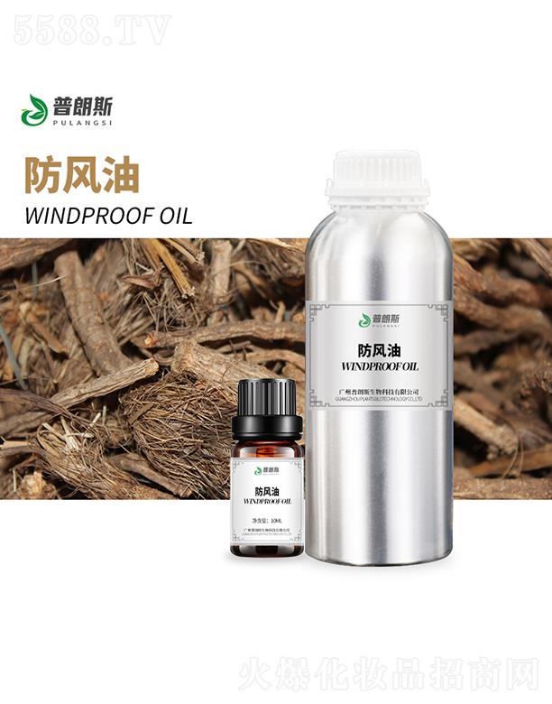 ����˹���L(f��ng)��