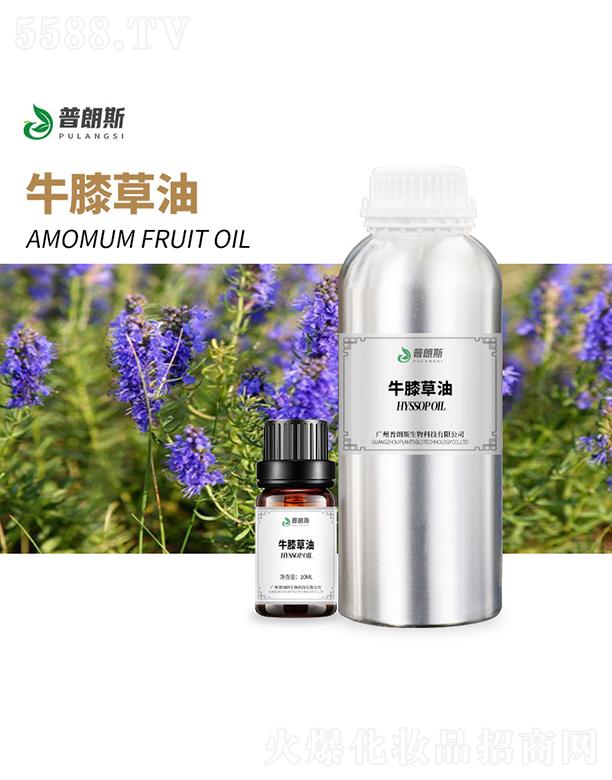 ����˹ţϥ����