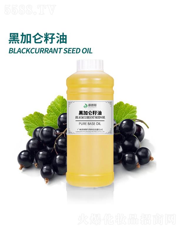 ����˹�ڼӁ�����