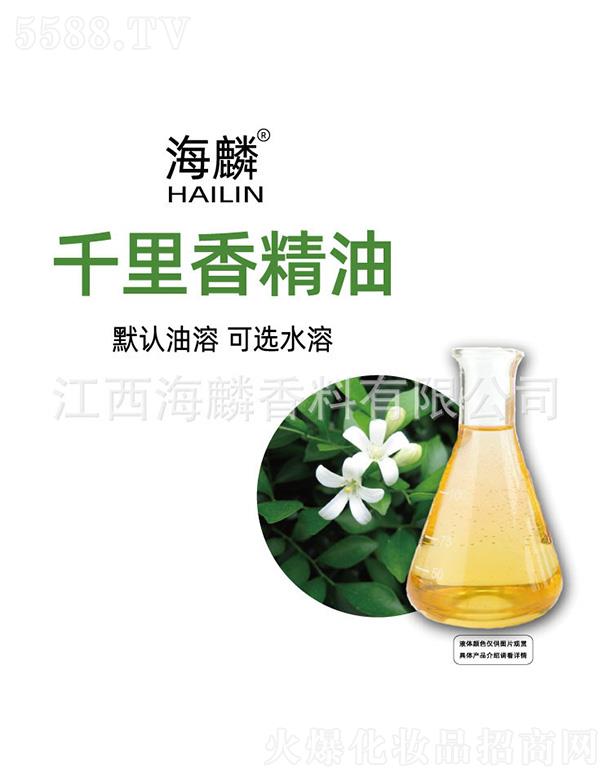 ����ǧ���㾫��