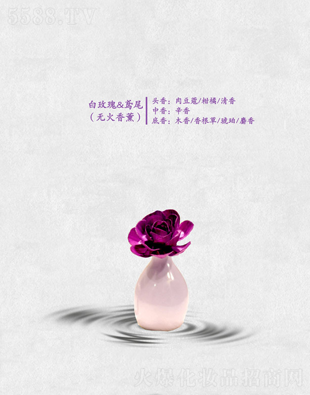 ��õ��&�Sβ(�o(w��)����޹)