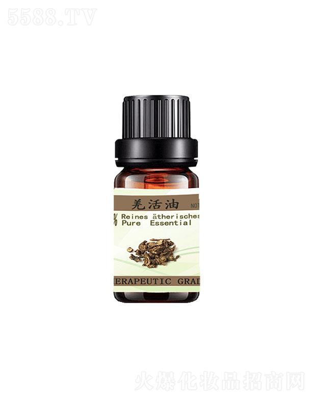 �RͨǼ����