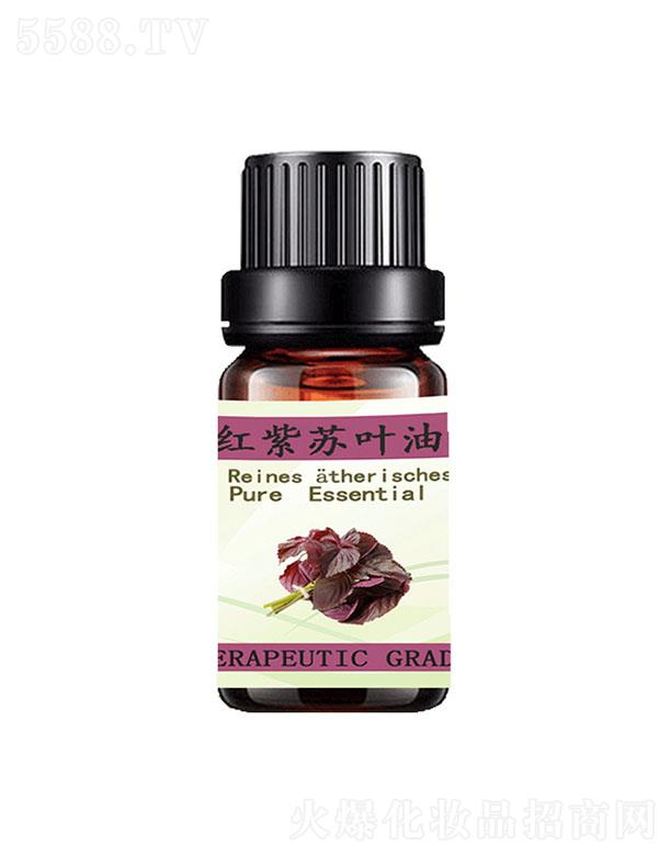 �Rͨ�t���K�~��