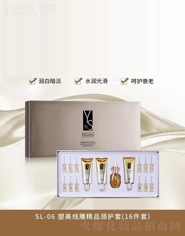 ɯSL-06Ʒio(16) ׌i͸¶g