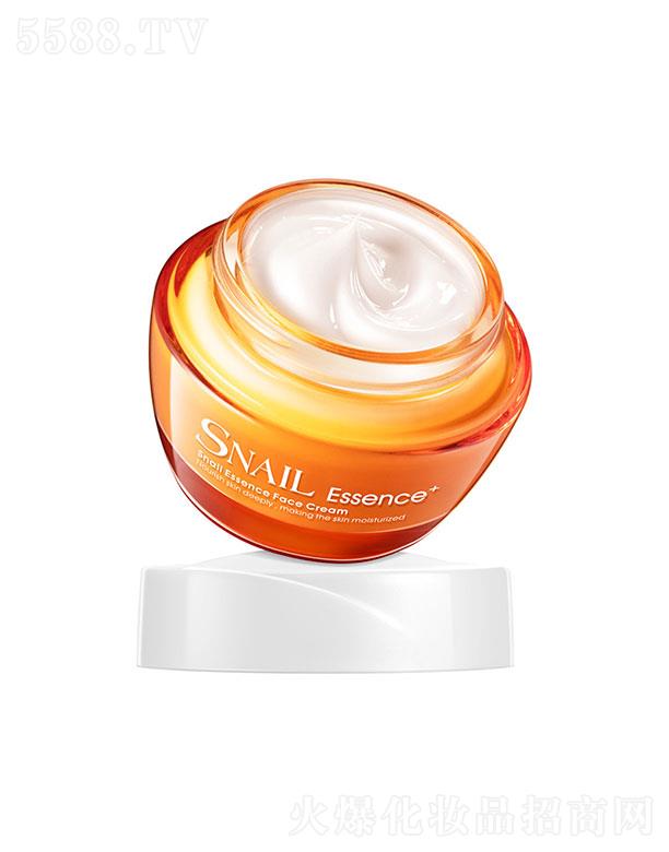 ^_(d)   Rޢ΁ţA˪  50g   aˮ