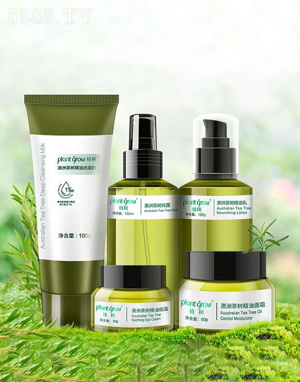 麣WS˹  ֲ澏b   ƽˮ