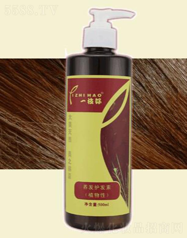 һ֦B(yng)l(f)ol(f)(500ml) ^l(f)호Џ