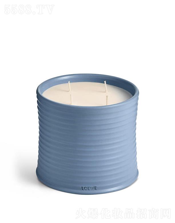 LOEWE̖(ho)ؘ(sh)㾫ϞT 100