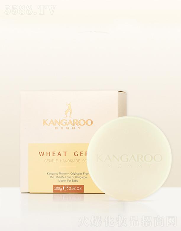 󋌋Сѿ坙(rn)w 100gӌጷˮx輡wˮ(rn)