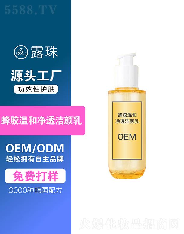 ¶Ƽ   ؑc¶zغ̓͸   坍