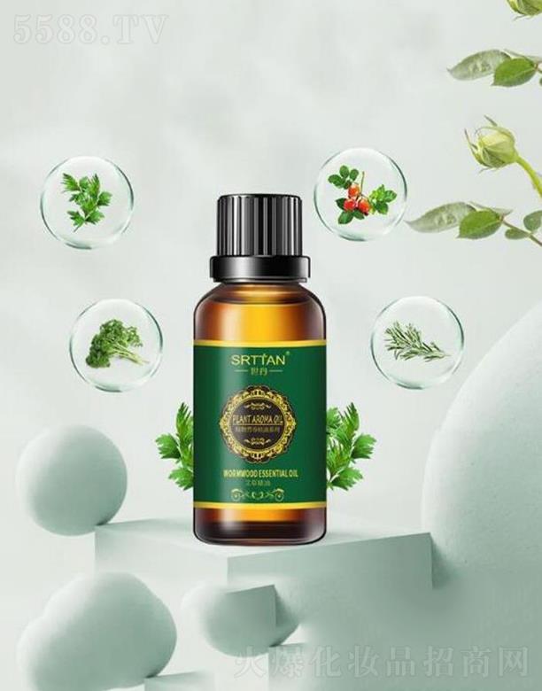 �V�ݘs������   �������ݰ�Ħ����   ���B(y��ng)���w