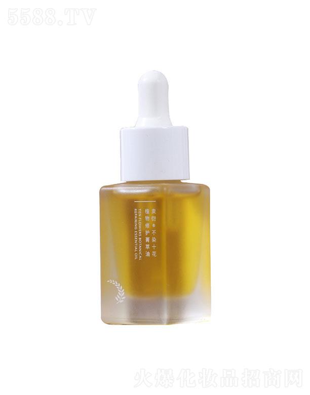 Vǧ  ܲȾʮֲoA   Ч澏