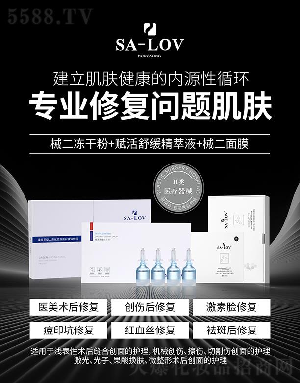 SA-LOV(zhun)I(y)ޏ(f)(wn)}w