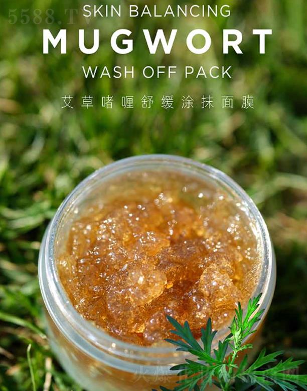 ANCORS���݆���澏ͿĨ��Ĥ