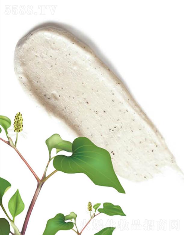 ANCORS�~�Ȳ�ë����ӝ�����