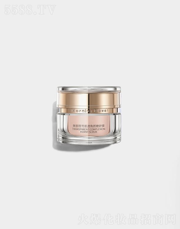 MorningFlower͸|(zh)ĥɰ