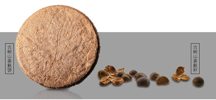 茶氏家族-古樹山茶麩洗發(fā)乳 茶氏家族-古樹山茶麩洗發(fā)乳