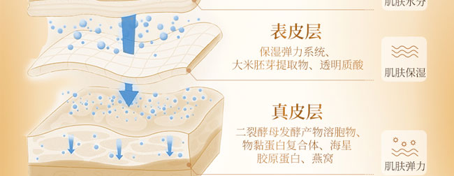 ˮˮ❙(rn)B(yng)ϵ׺У32ף