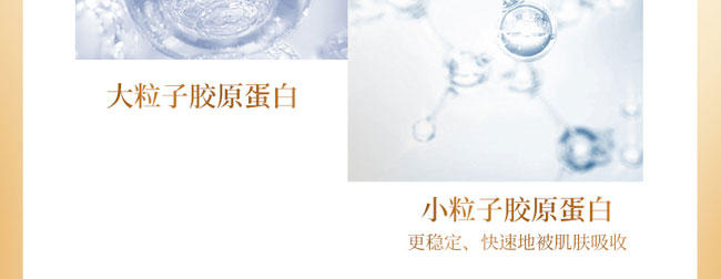 ˮˮ❙(rn)B(yng)ϵ׺У32ף