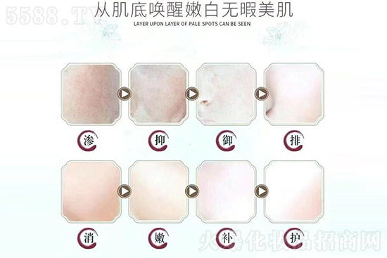 專注問題肌膚修護 專注問題肌膚修護