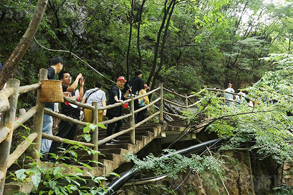 君山之旅·有氧之行·仙境之游 君山之旅·有氧之行·仙境之游